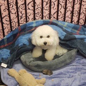 Meet your Posher, Internetpie